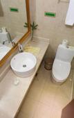 Туры в отель Vienna Hotel (Hangzhou Linping Xinghuo South Road Branch)