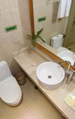 Туры в отель Vienna Hotel (Hangzhou Linping Xinghuo South Road Branch)