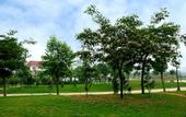 Туры в отель Hebi Guest House