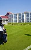 Туры в отель Kouzi International Hotel