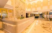 Туры в отель Vienna Hotel