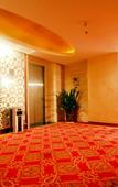 Туры в отель CHENGDU DAZHOU HOTEL