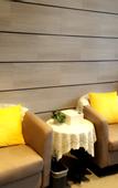 Туры в отель Homeinn Plus Hotel (Changzhou Dinosaur Park Wanda Plaza)
