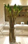 Туры в отель Richun Teaism Hotel