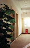 Туры в отель Super 8 Hotel (Shenzhen Longgang Shuanglong Metro Station)