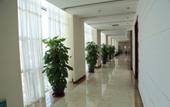 Туры в отель Nishi Haitai Hotel