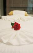 Туры в отель Rosedale Chunshenhu Resort Hotel Suzhou