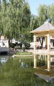 Туры в отель Jingye Hotel