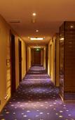 Туры в отель Haiyue Hotel (Harbin Sports College Nangang District Government Store)