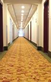 Туры в отель GreenTree (Shanghai F1 Nanfangtai Wujincheng)