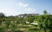 Туры в отель LinYi YiHe BinGuan