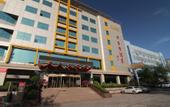 Туры в отель Vienna hotel