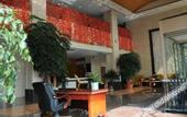 Туры в отель Vienna hotel