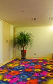 Туры в отель Urumqi Junhe Box Hotel (West Daqiao Hongshan Park Branch)