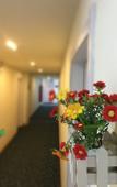 Туры в отель 7Days Inn Chain Hotel (Wuxi Shuofang Airport)