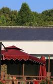 Туры в отель Nanjing Bojin Blossom Hill · Pipa Mountain Lodge (Sun Yat-sen's Mausoleum)
