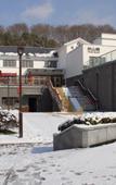 Туры в отель Nanjing Bojin Blossom Hill · Pipa Mountain Lodge (Sun Yat-sen's Mausoleum)