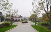 Туры в отель Nanjing Bojin Blossom Hill · Pipa Mountain Lodge (Sun Yat-sen's Mausoleum)