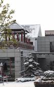 Туры в отель Nanjing Bojin Blossom Hill · Pipa Mountain Lodge (Sun Yat-sen's Mausoleum)