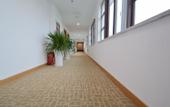 Туры в отель Nanjing Bojin Blossom Hill · Pipa Mountain Lodge (Sun Yat-sen's Mausoleum)