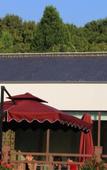 Туры в отель Nanjing Bojin Blossom Hill · Pipa Mountain Lodge (Sun Yat-sen's Mausoleum)