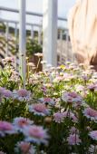 Туры в отель Floral Hotel · Qinyuan Hotel
