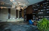 Туры в отель Minshan Yinqiao Hotel