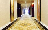 Туры в отель Vienna International Hotel (Nanning Guangxi University Zoo Metro Station)