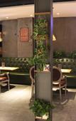 Туры в отель James Joyce Coffetel (Zhuozhou Government)
