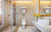 Туры в отель Vienna Hotel (Dongguan Dongcheng)