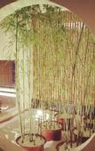 Туры в отель QIANNA HOTEL Shangyuan Boutique (Zhengzhou CBD Exhibition Center East Railway Station)