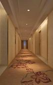 Туры в отель Vienna International Hotel (Shenzhen Longgang Ti'an Digital Park)