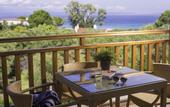 Туры в отель Kassandra Palace