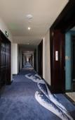 Туры в отель Four Seasons Qingteng Hotel (Beilun Chunxiao Wanren Beach)