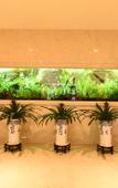 Туры в отель Lu'an Garden Hotel Shanghai