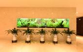 Туры в отель Lu'an Garden Hotel Shanghai
