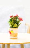 Туры в отель GreenTree Alliance Hotel (Xiamen Railway Station Sports Center)