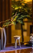 Туры в отель MaoShan Hentique Resort
