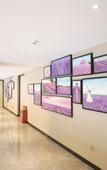 Туры в отель Lavande Hotels (Zhongshan Shaxi,Xingbao Times Plaza)