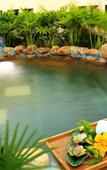 Туры в отель Regal Palace Resort