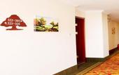 Туры в отель Homeinn Ripple Yun Hotel (Beijing Pinggu Government Pedestrian Street)