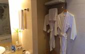 Туры в отель Wuhu Maison New Century Hotel