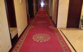 Туры в отель Wuhu Maison New Century Hotel