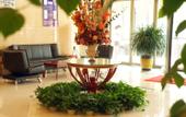 Туры в отель GreenTree Inn ShanDong ZaoZhuang TengZhou FuQian Road LongQuan Square Business Hotel