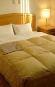 Туры в отель Mito Riverside Hotel