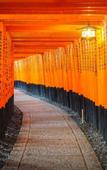 Туры в отель Tabist Kyogura Kyoto Nijo