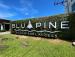 Туры в Blu Pine Villa & Pool Access