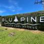 Туры в отель Blu Pine Villa & Pool Access, оператор Anex Tour