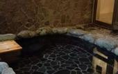 Туры в отель Sun Plaza Hotel Fuji Lake Yamanaka