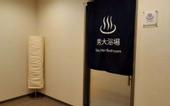 Туры в отель Sun Plaza Hotel Fuji Lake Yamanaka